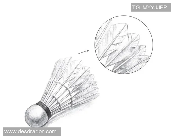 从零基础到羽毛球高手的全面提升指南与实用技巧分享 从零基础到羽毛球高手的全面提升指南与实用技巧分享