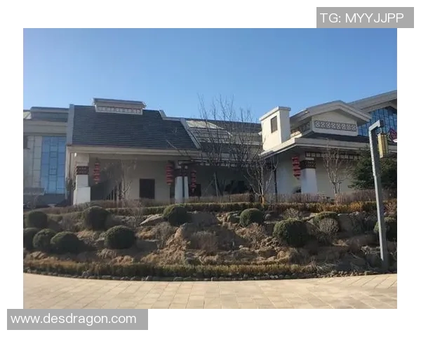 南京飞盘队荣登全国团队协作排行榜首位展现卓越团队精神与竞技实力 南京飞盘队荣登全国团队协作排行榜首位展现卓越团队精神与竞技实力