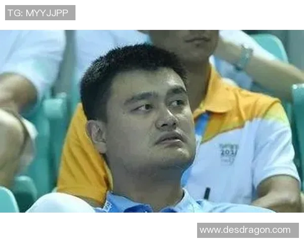 姚明财富揭秘资产税后情况及其对未来投资的影响分析 姚明财富揭秘资产税后情况及其对未来投资的影响分析