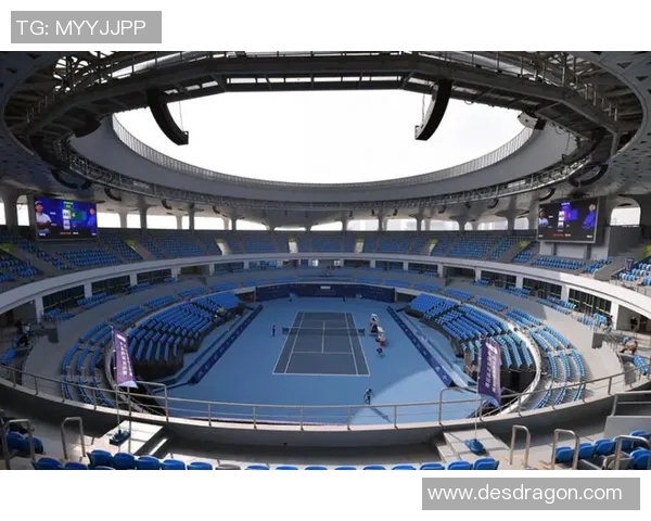 王磊独家分享网球心得与技巧助你提升球技的全面指南